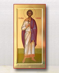 Икона «Емилиан мученик» Вологда